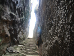 cesta do království víl