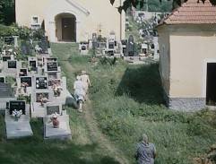 Slunce, seno a pár facek