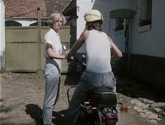 Slunce, seno a pár facek