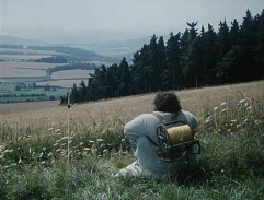 Slunce, seno a pár facek