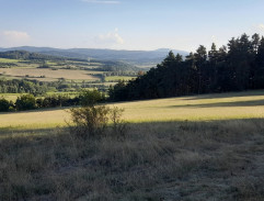 Slunce, seno a pár facek