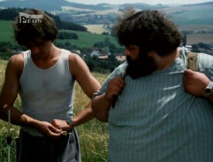 Slunce, seno a pár facek