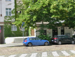 Před bydlištěm Viki