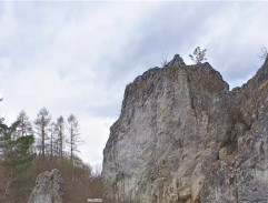 Království potoků