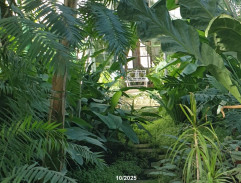 Království potoků