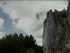 Království potoků