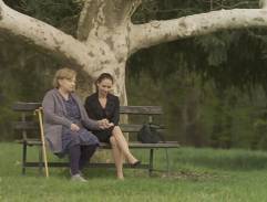 Platan v domově důchodců