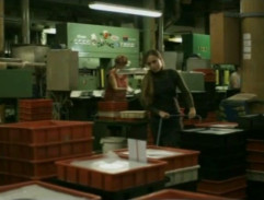 Zemský ráj to napohled