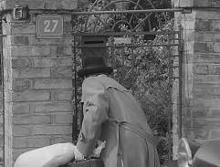 Branka hoteliérovy vily