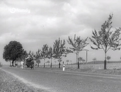 Dědeček, Kyliján a já