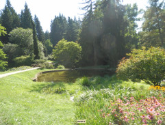 Královská rodina na cestě