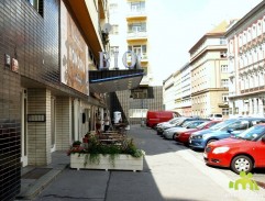 Punťa a čtyřlístek