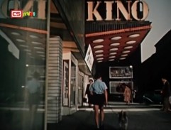 Punťa a čtyřlístek