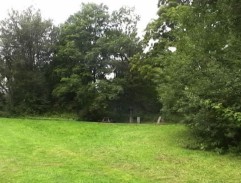 Splašení koně vjíždí do vsi