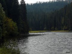 Bára se koupe v jezeře