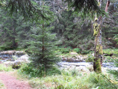 Bára utíká v převleku