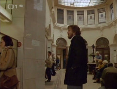 Na dvoře je kůň, šéfe!