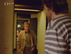 Na dvoře je kůň, šéfe!