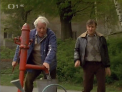 Na dvoře je kůň, šéfe!