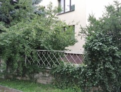 Šéfe, jdeme na to!