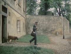 Vodnický dům na Kampě