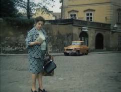 Jak utopit doktora Mráčka aneb Konec vodníků v Čechách