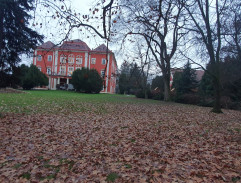 Rozcvička v zahradě