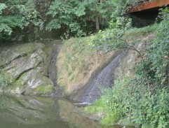 Karel IV. běží od řeky