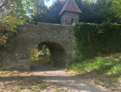 Karel IV. běží přivítat poselstvo od otce