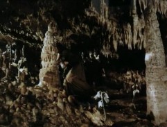 lúka soľných kvetov