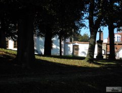 Největší z Čechů