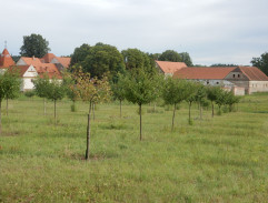 Vesnička