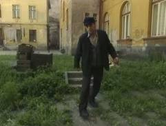 dvor berlínskeho domu