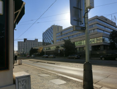 Petr v obležení lehkých žen