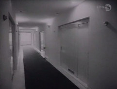 Anděl blažené smrti