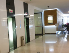 Anděl blažené smrti