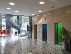 Anděl blažené smrti