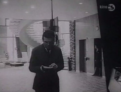 Anděl blažené smrti