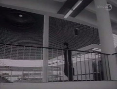 Anděl blažené smrti