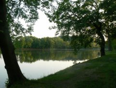 Panský rybník Neveklov