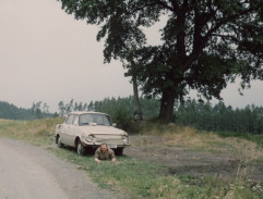 Vesničko má středisková