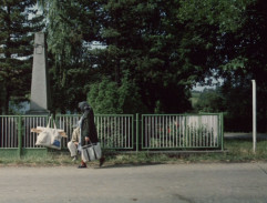 Vesničko má středisková