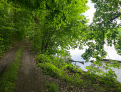 Vesničko má středisková