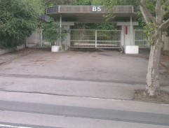 maratónci vybiehajú zo štadióna