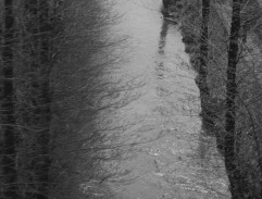 Ostře sledované vlaky