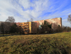 Děti hledají opici Terezu