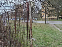 Děti hledají opici Terezu IV