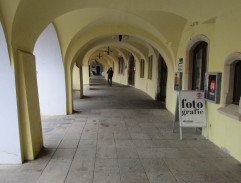 Jak básníkům chutná život