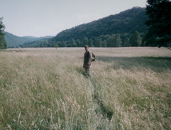 Smrt krásných srnců