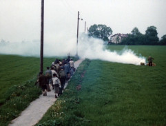 Smrt krásných srnců